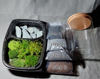 DIY Nano Mossarium Стартовый набор, Микро Террариум Комплект, Стартовый комплект, Создайте свой террариум