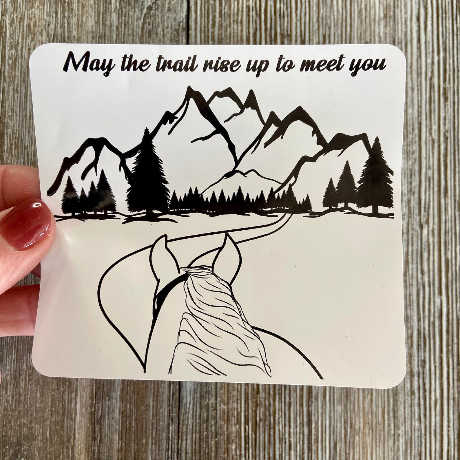 Trail Rider Sticker/ Trail Rider Decal/horse Sticker/endurance Rider ...
