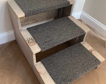 modern dog steps