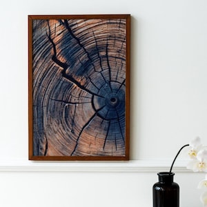 Natural Wood Grain Wall Art, Rustic Gold Framed Tree Ring Print, Log Cross Section Decor, Organic Texture Artwork