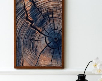 Natural Wood Grain Wall Art, Rustic Gold Framed Tree Ring Print, Log Cross Section Decor, Organic Texture Artwork