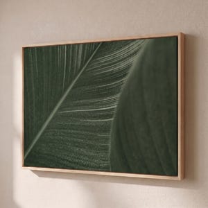 May include: A rectangular wall art piece featuring a close-up, high-contrast photograph of a dark green leaf with visible veins and textures, encased in a light-toned wooden frame. The composition highlights the organic lines of the foliage.