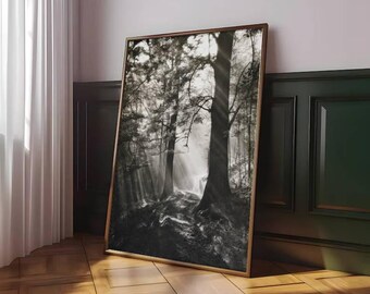 Black and White Forest Wall Art, Misty Woodland Photography Print, Nature Landscape Poster, Minimalist Monochrome Art, Calm Home Wall Decor