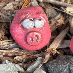 May include: A handcrafted, pink ceramic pig face with white eyes and a detailed snout. The pig is set against a backdrop of wood chips and small rocks, creating a rustic and natural aesthetic. The pig's features are carefully sculpted and painted.