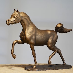 A Horse,Arabian Horse, Running horse