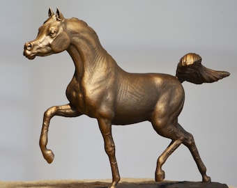 A Horse,Arabian Horse, Running horse