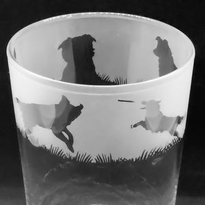 GLAS BORDERCOLLIE | 57 cl conisch pintglas met border collie-fries | Perfect voor water, bier, cider, pils en meer