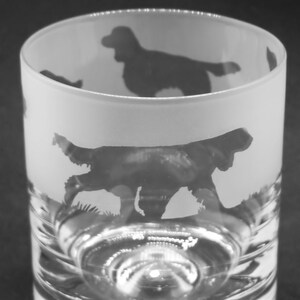 SPRINGER SPANIEL GLASS | 30cl Glass Whisky Tumbler with Springer Spaniel Frieze Design