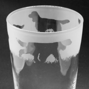 SPRINGER-SPANEELGLAS | 57 cl conisch pintglas met springerspaniëlfries