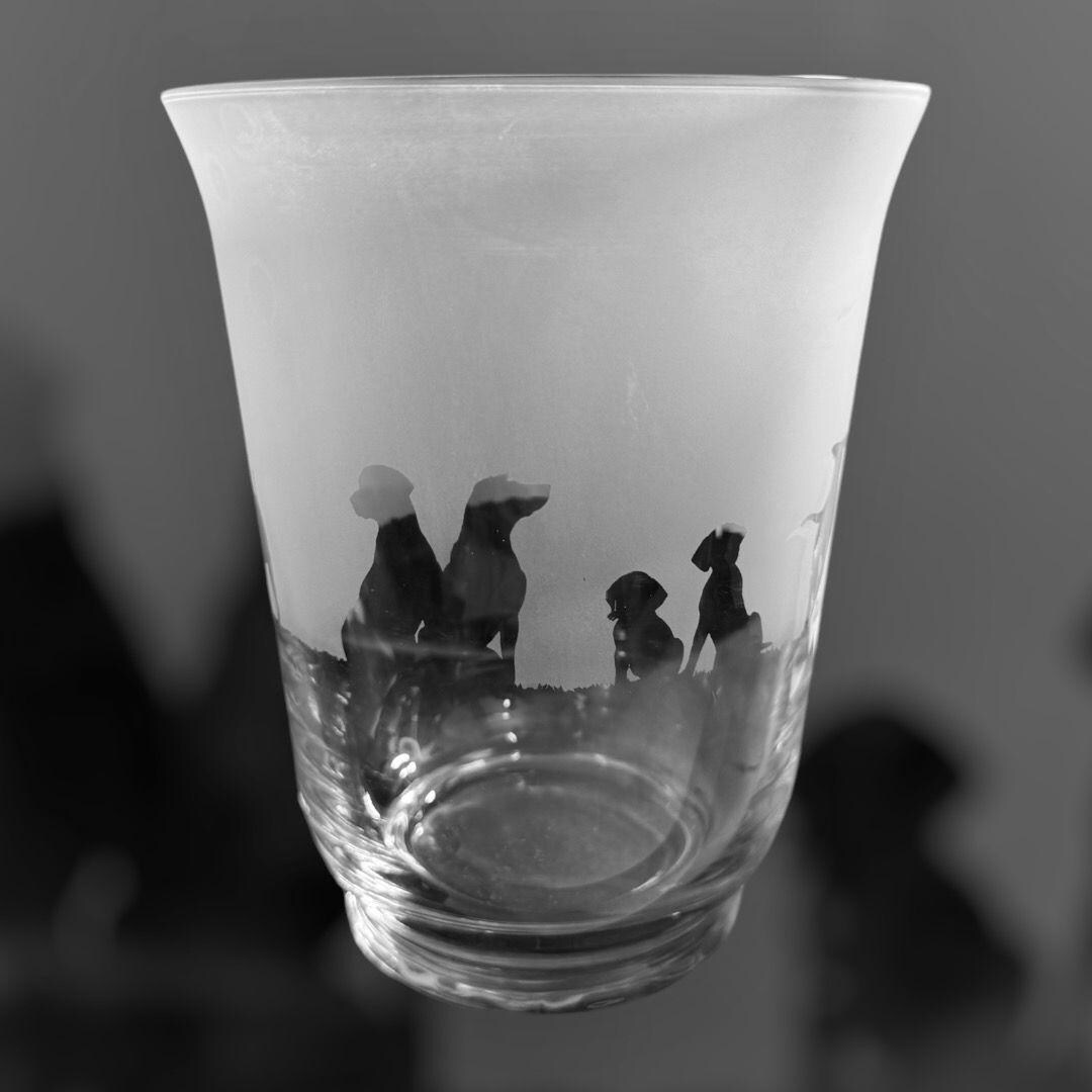 RHODESIAN RIDGEBACK VASE | 18cm Clear Flared Glass Vase or Candleholder ...