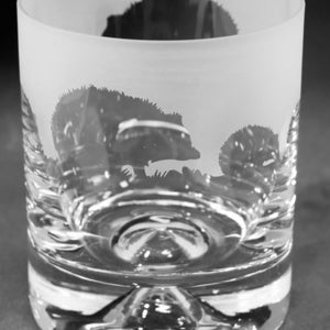 HEDGEHOG GLASS | 30cl Glass Whisky Tumbler with Hedgehog Frieze Design