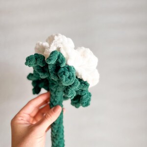 May include: A green and white crocheted flower with a long stem. The flower is made of soft yarn and has a fluffy texture.