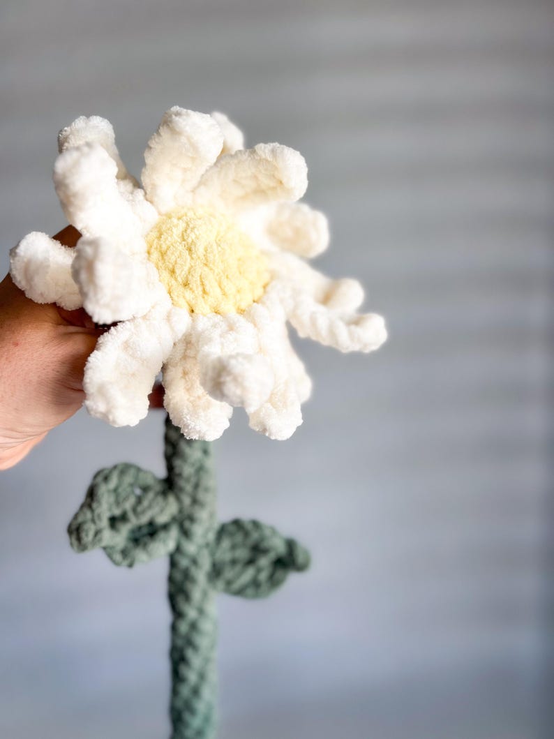 May include: A crocheted white daisy flower with a yellow center, attached to a green crocheted stem with leaves.