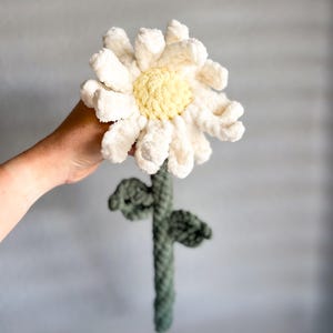 May include: A crocheted white daisy flower with a yellow center, attached to a green crocheted stem with leaves.