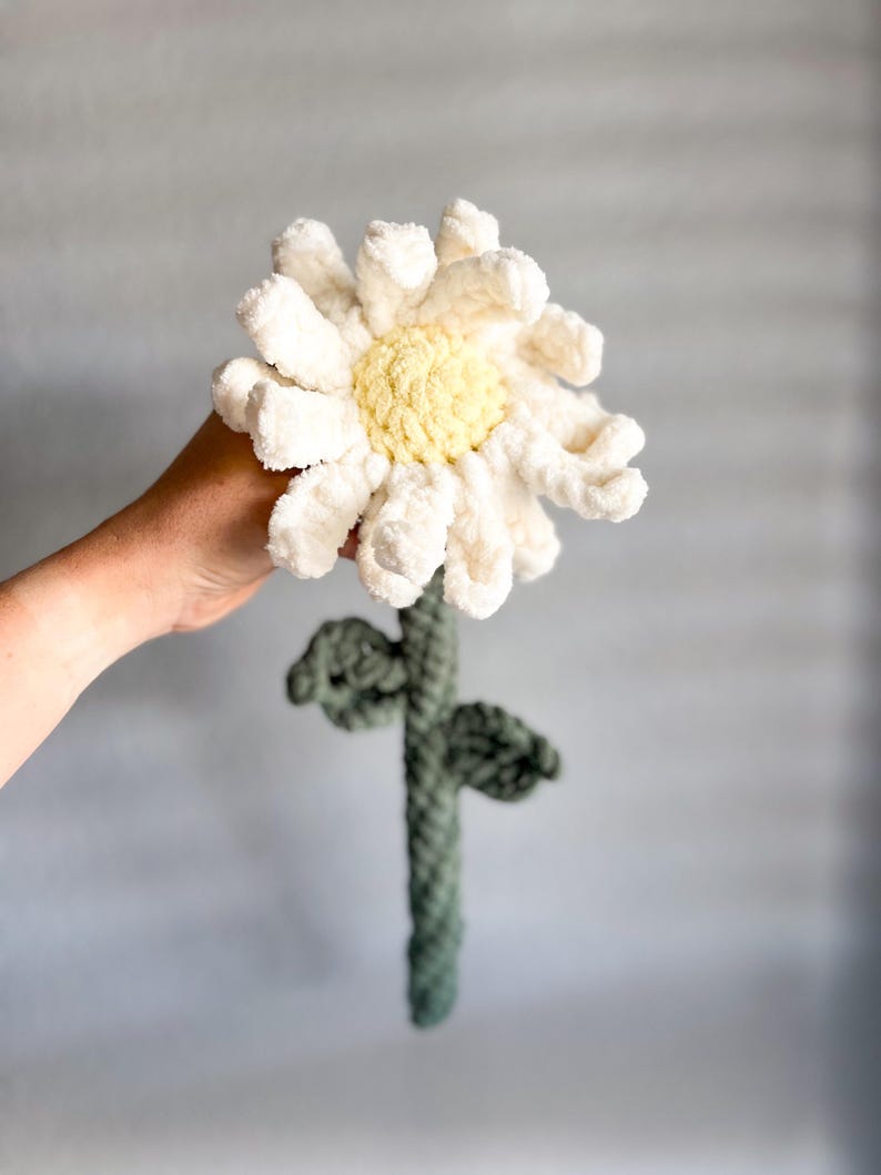 May include: A crocheted white daisy flower with a yellow center, attached to a green crocheted stem with leaves.
