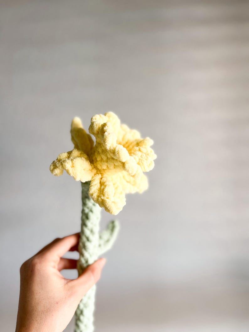 Crochet Daffodil Flower Pattern: No-Sew Floral Design (Digital Download) image 6