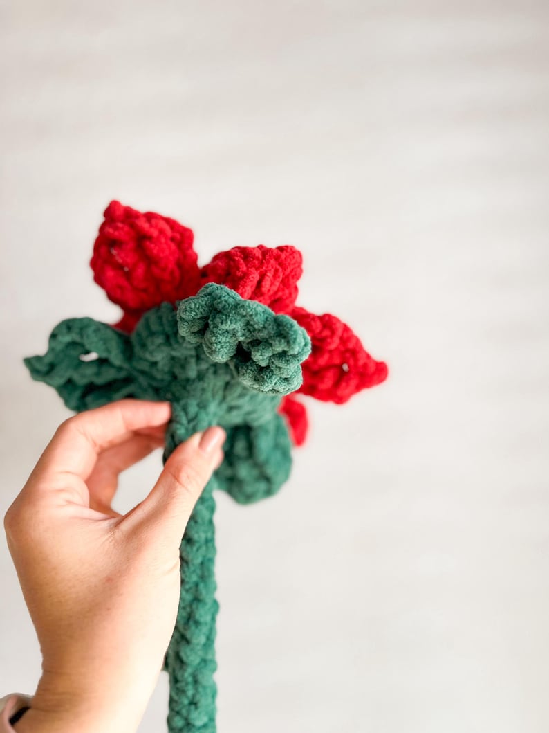 May include: A crocheted poinsettia flower with red petals and green leaves. The flower is held in a hand.