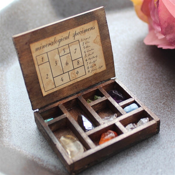 Miniature Ore Boxes / Gemstone Display Cabinets / Discovering Tiny Beauty / Nature's Miniature Wonders