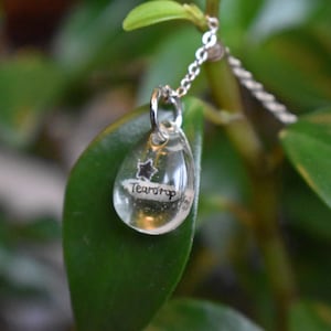 Dije de arroz con nombre personalizado, sellado en resina con forma de púa de guitarra en forma de lágrima, para llavero, collar, pulsera o colgante.