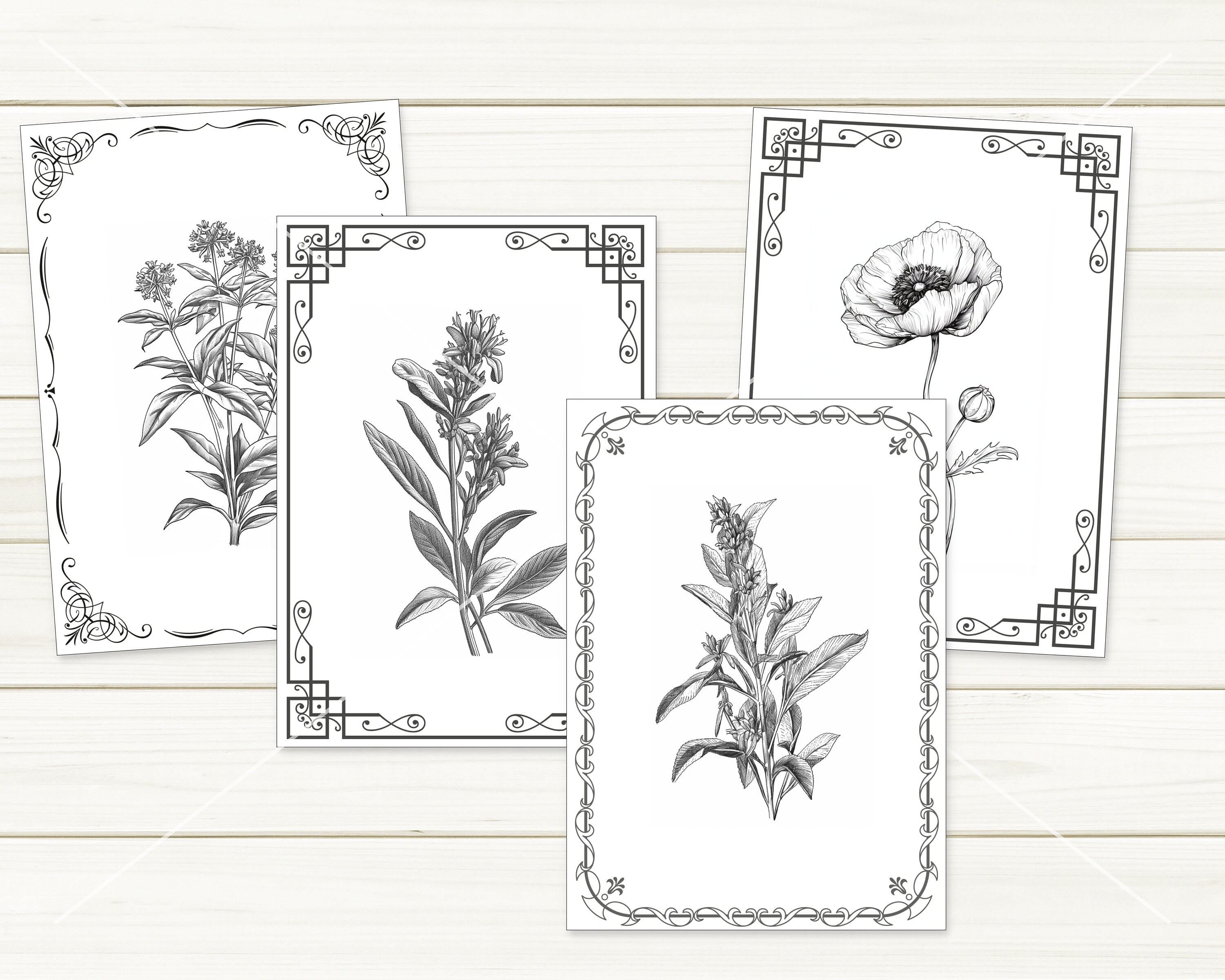 Botanical Journal Kit With Herbs and Flowers in Frame Etsy Australia