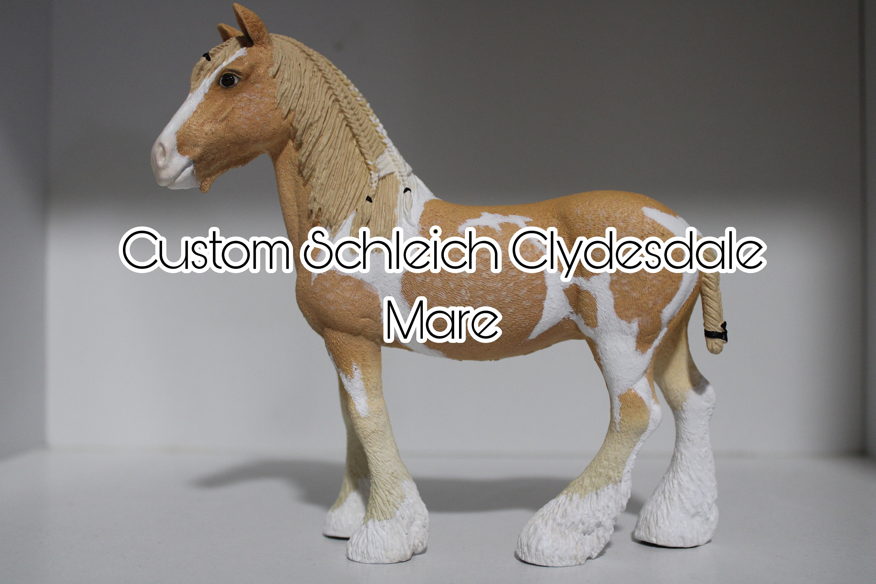 Schleich clydesdale foal sale
