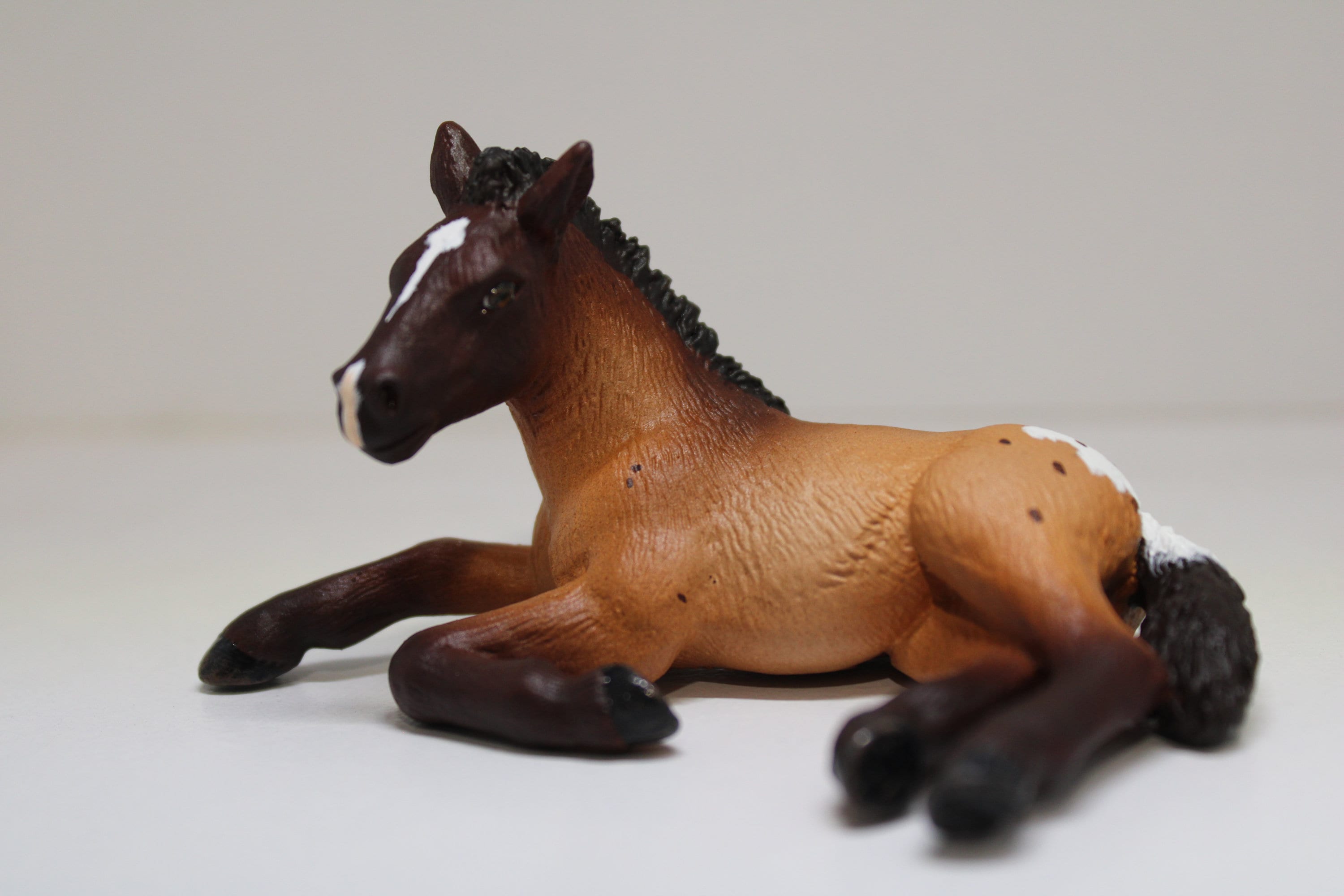 Schleich Horses Appaloosa Foal Horses Appaloosa Foal Country Toys