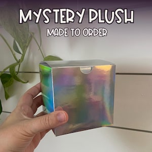 Mystery Crochet Plush, Blind Bag, Surprise Plushie, Grab Bag, Stocking Stuffer, Easy Gift for Preteen, Mystery Box, Mystery Stuffed Animal