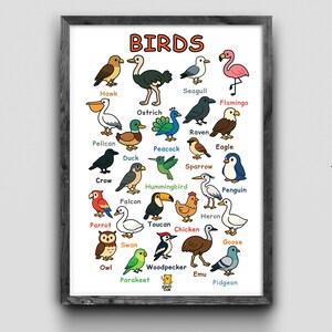 May include: A framed print featuring colorful illustrations of various bird species, including a hawk, flamingo, and penguin. The word "BIRDS" is at the top. The print includes the Zippy Cub logo in the bottom right corner.