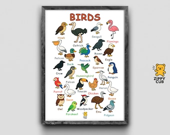 Birds Poster for Kids – Educational Bird Species Chart | 25 Birds Wall Art | Printable Classroom & Nursery Decor | Instant Digital Download