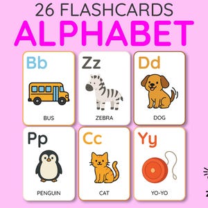 May include: A set of 26 alphabet flashcards with colorful illustrations. Each card features a letter, a corresponding image, and the word for the image. The cards include a bus, zebra, dog, penguin, cat, and yo-yo. The text "ALPHABET" is displayed at the top.