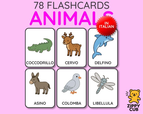 ZIPPY English for Kids ゲームカードセット ディズニー英語教材 