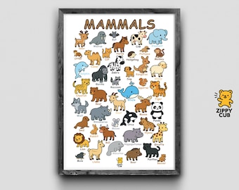 Mammals Poster for Kids – Educational Animal Wall Art | 40 Mammals Chart | Printable Classroom Decor | Instant Digital Download