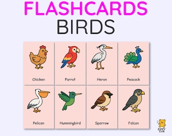 Birds Flashcards – Montessori 4-Part Cards | 2.5"x3.5" Printable Learning Set | Instant Digital Download