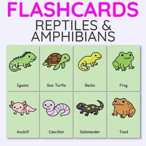 Reptiles & Amphibians Flashcards – Montessori 4-Part Cards | 2.5&quot;x3.5&quot; Printable Animal Learning Set | Instant Digital Download Flash Cards