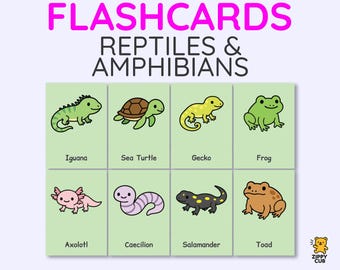 Reptiles & Amphibians Flashcards – Montessori 4-Part Cards | 2.5"x3.5" Printable Animal Learning Set | Instant Digital Download Flash Cards