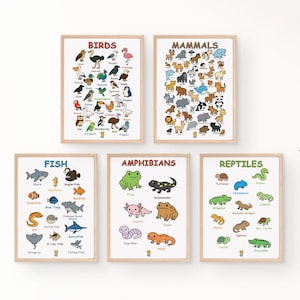 5 Animals Poster Bundle – Reptiles, Amphibians, Fish, Birds & Mammals | Educational Art | Printable Classroom | Instant Digital Download