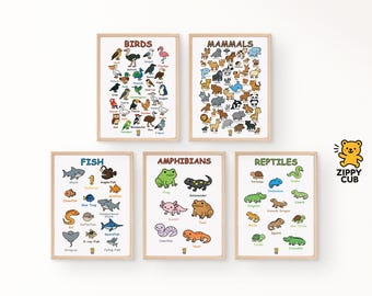 5 Animals Poster Bundle – Reptiles, Amphibians, Fish, Birds & Mammals | Educational Art | Printable Classroom | Instant Digital Download