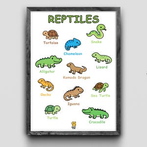 Reptiles Poster for Kids – Educational Animal Chart | 11 Reptiles Wall Art | Classroom & Nursery Decor | Instant Digital Download