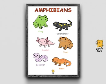 Amphibians Poster for Kids – Printable Science Wall Art | 6 Amphibians Chart | Classroom & Homeschool Decor | Instant Digital Download