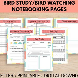 May include: Printable bird watching notebook pages with a light pink, yellow, and blue color scheme. The pages include sections for recording species seen, species to see, bird feeder observations, bird tally, and bird profiles. The pages are designed for US Letter size paper.