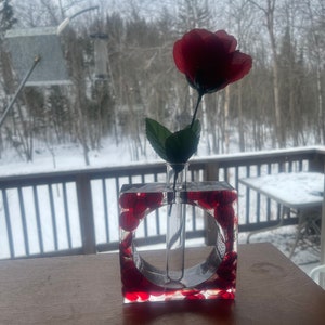 Plant Propagation Station Vase