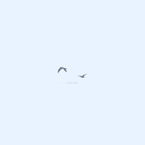 Two Flying Birds Semi-Permanent 2-Week Tattoo (Set of 2)
