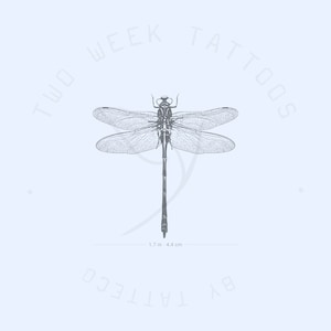 Dragonfly Semi-Permanent Tattoo (Set of 2)
