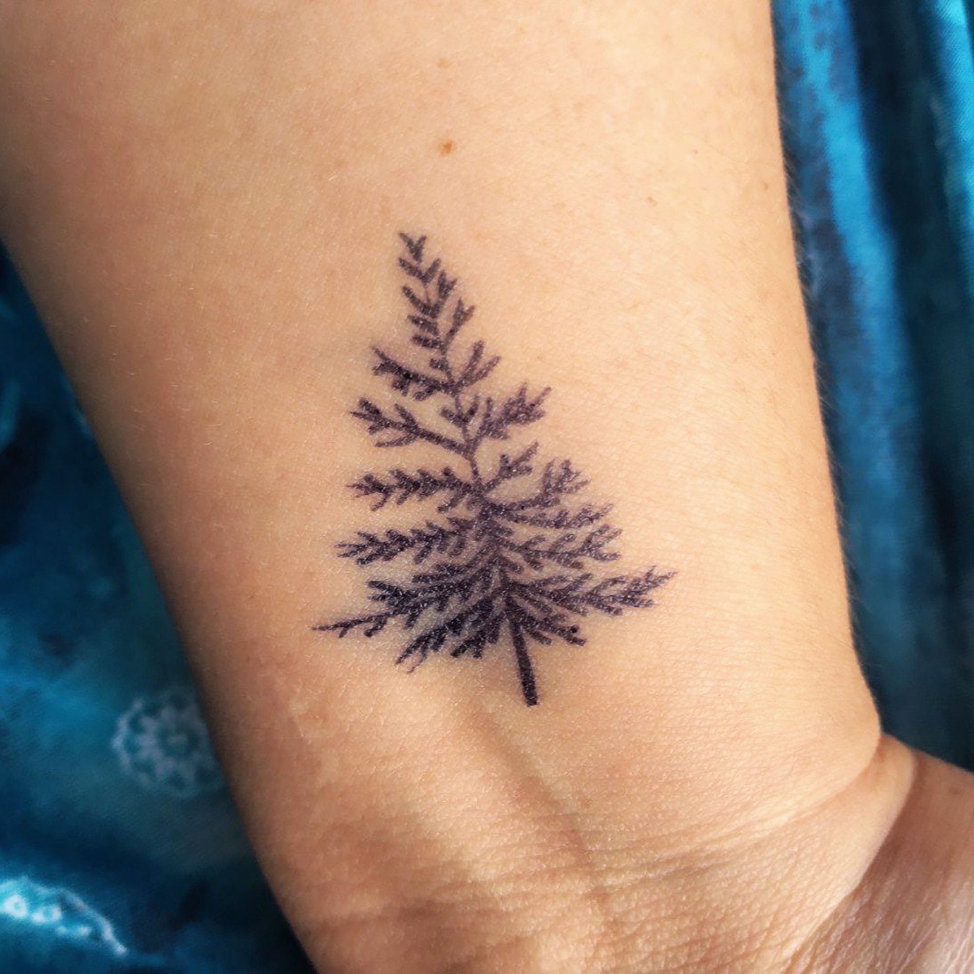 Buy Pine Tree Semipermanent 2week Tattoo set of 2 Online in India  Etsy