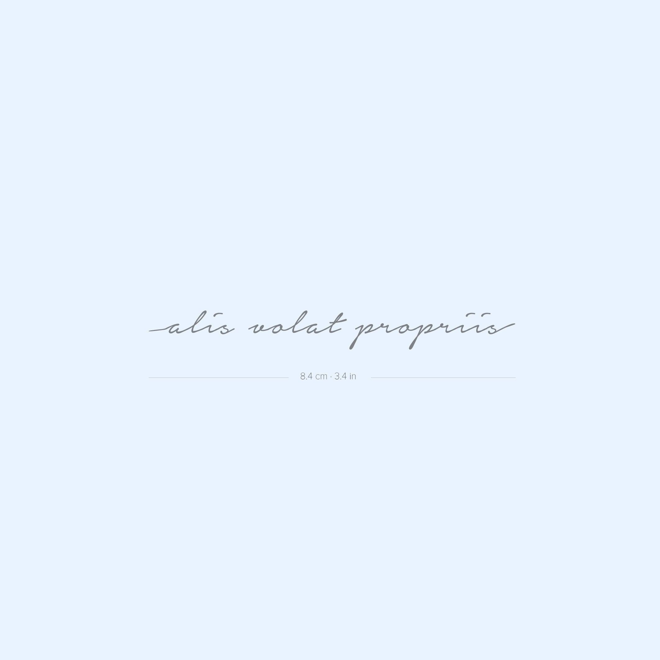 Alis Volat Propriis Semi-permanent 2-week Tattoo set of 2 - Etsy Canada
