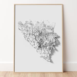 Bosnien und Herzegowina - Topographische Reliefkarte
