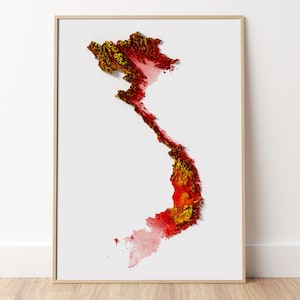 Vietnam - Impression de carte topographique en relief
