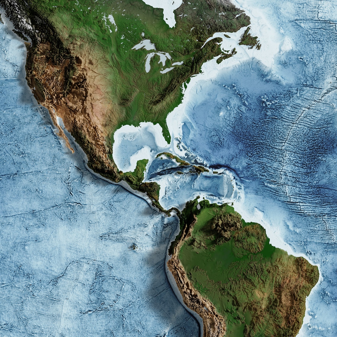 Earth - Topographic Relief Map Print - Etsy