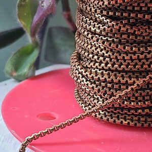 May include: Close-up of a spool of bronze-colored chain. The chain is a box style, with each link square. The spool is resting on a pink plastic disc. A plant with green and purple leaves is in the background.