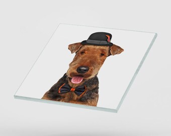 Personalised Airedale Terrier Glass Coasters